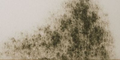 壁癌該怎麼處理？除霉流程、防水修復與長效防霉教學